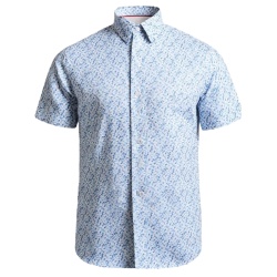 ch3849c_bleu_423797910