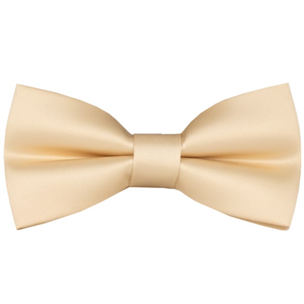 noeudpapillon_creme_1278512704